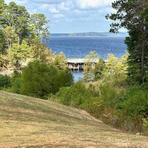 Lake Viewll